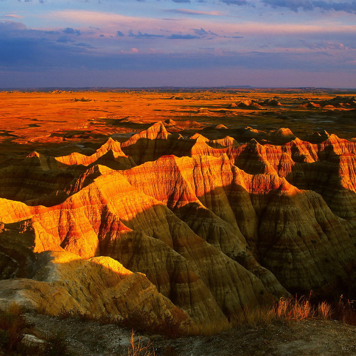 Analog photography with John Crane Shoot Film Co.