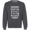 Introverted But Willing to Discuss Cameras Photographer's Crewneck Pullover Sweatshirt - Shoot Film Co.